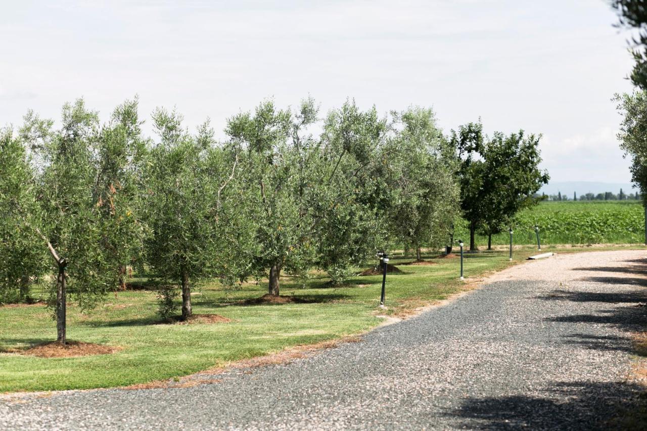 Agriturismo Valdo Grosseto Exterior photo