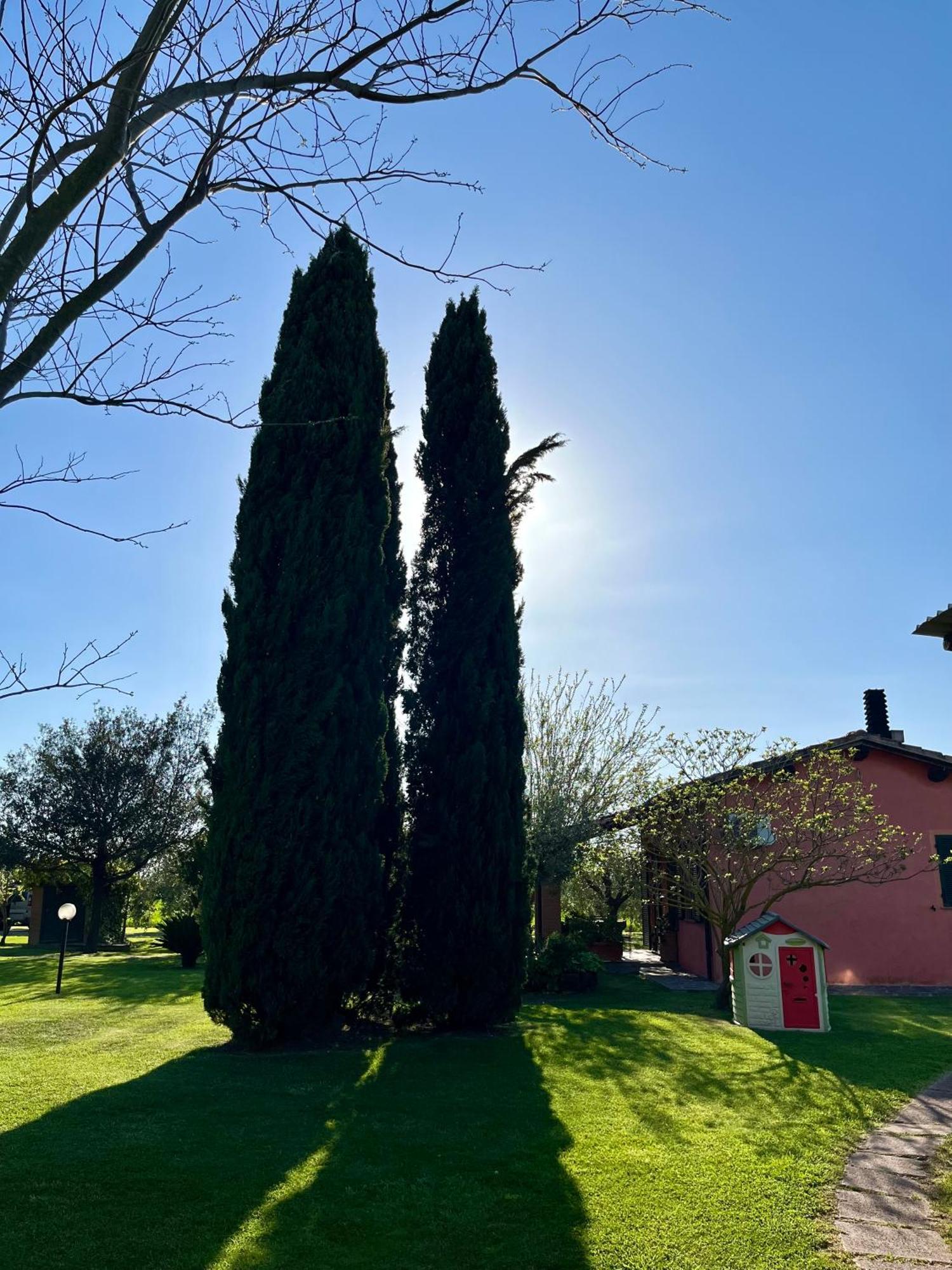 Agriturismo Valdo Grosseto Exterior photo