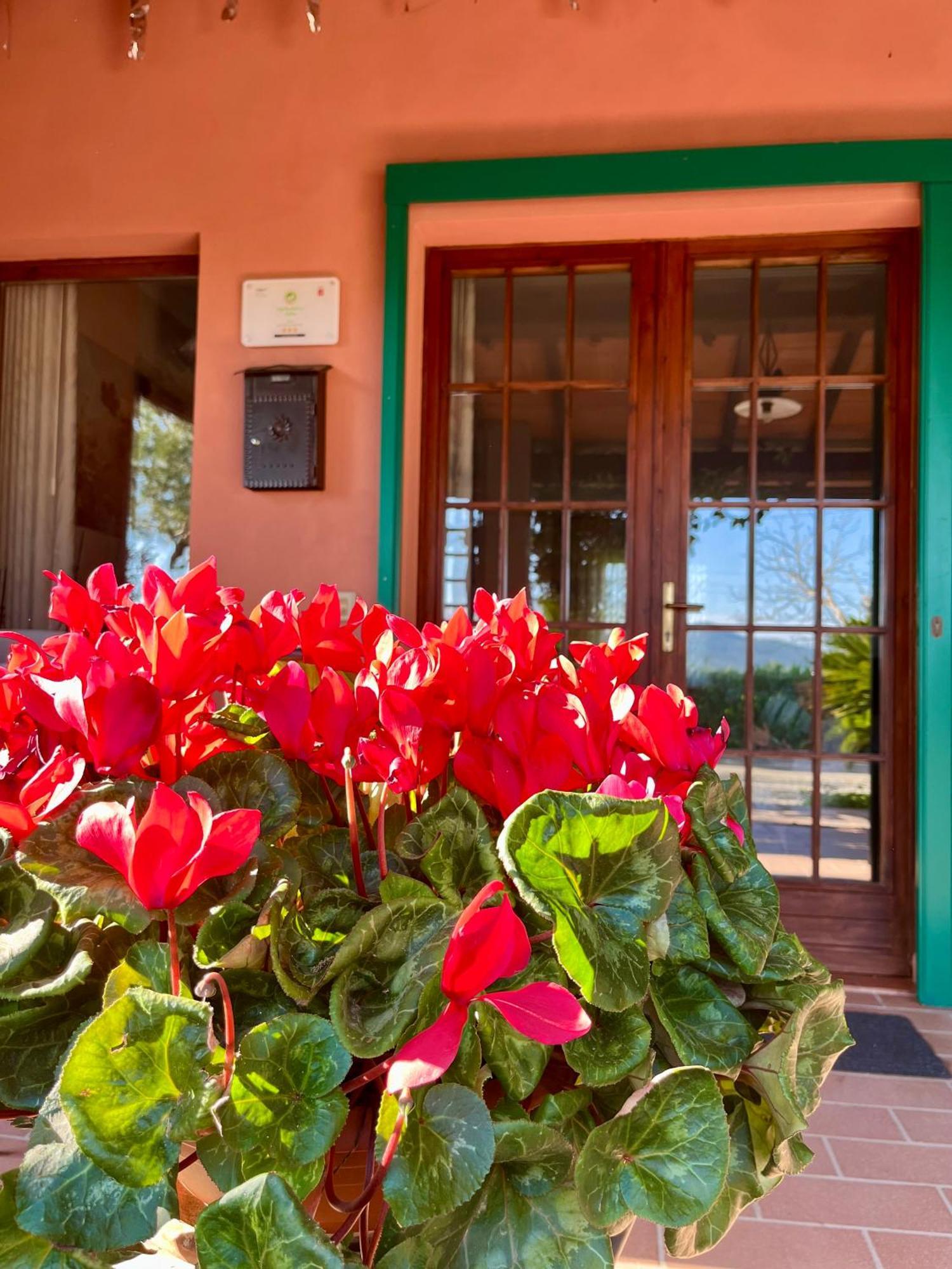 Agriturismo Valdo Grosseto Exterior photo