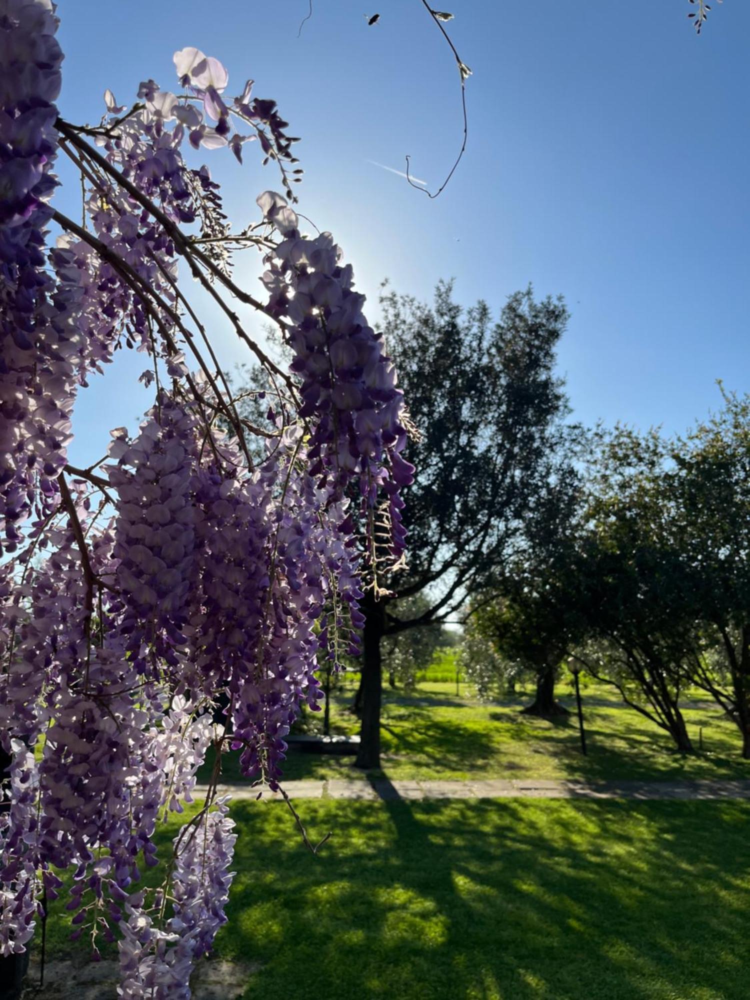 Agriturismo Valdo Grosseto Exterior photo